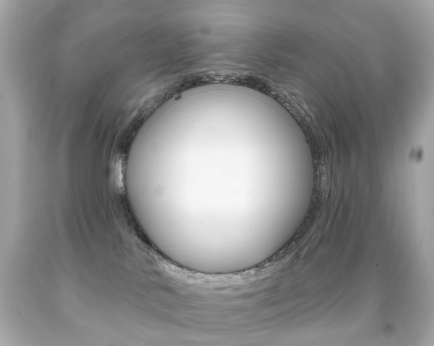 X0000091850042200709050945