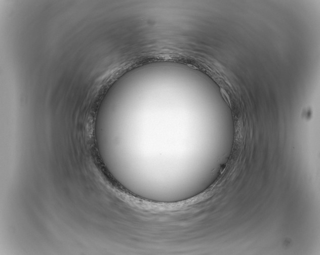 X0000091850043200709050945