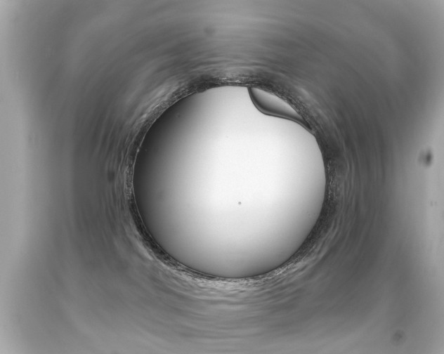 X0000091850044200709050945