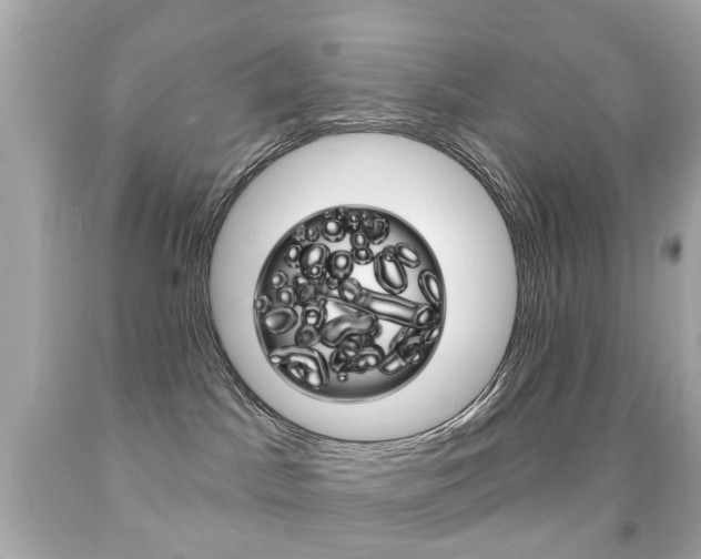 X0000091850045200709050945