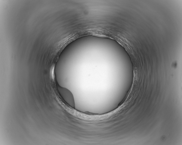 X0000091850047200709050945