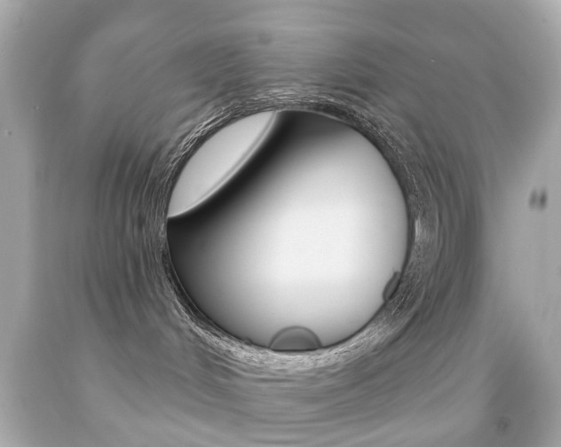 X0000091850048200709050945