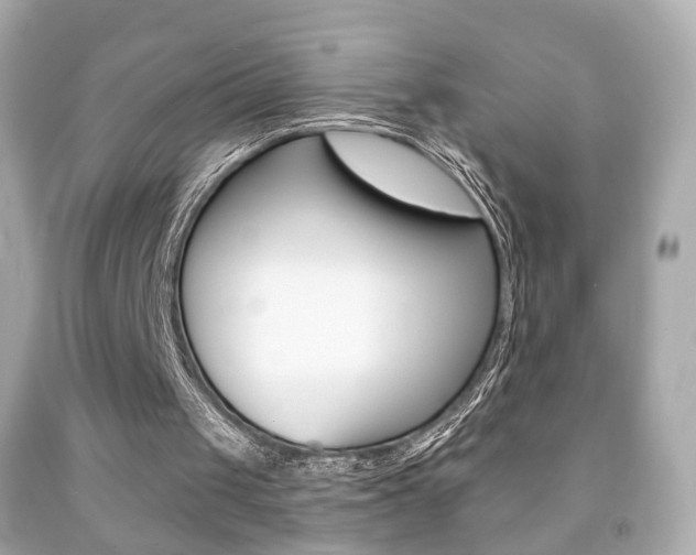 X0000091850049200709050944