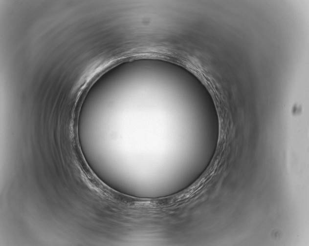 X0000091850050200709050944