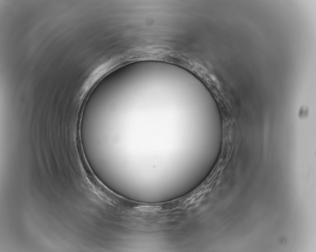 X0000091850051200709050944
