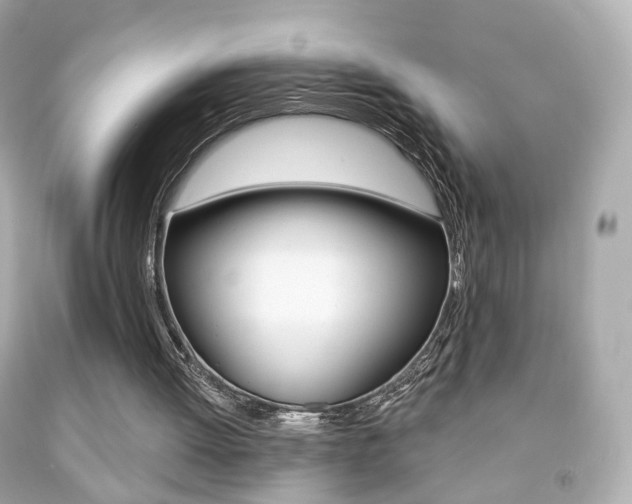 X0000091850052200709050944