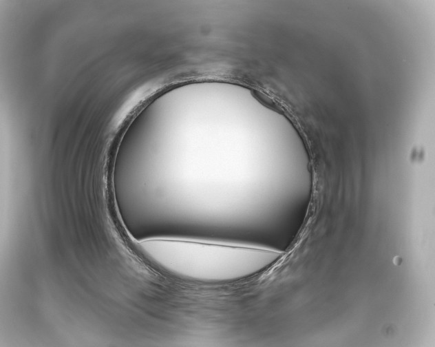 X0000091850054200709050944