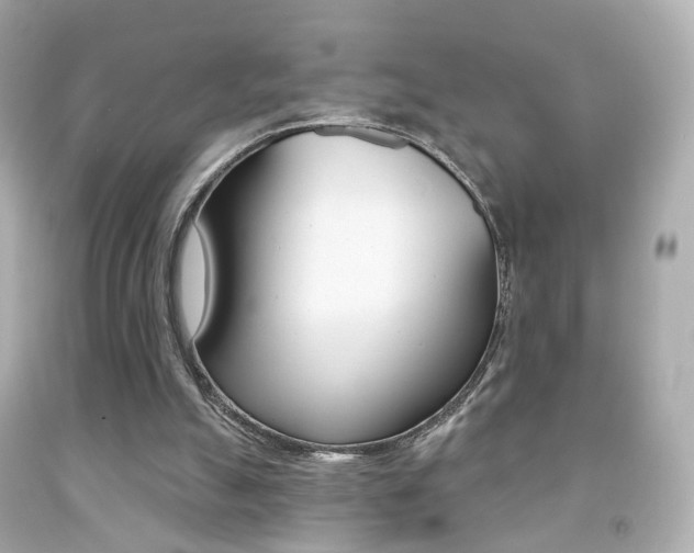 X0000091850055200709050944
