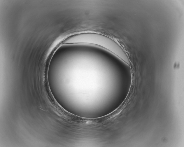 X0000091850056200709050944