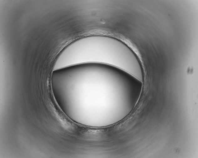 X0000091850057200709050944