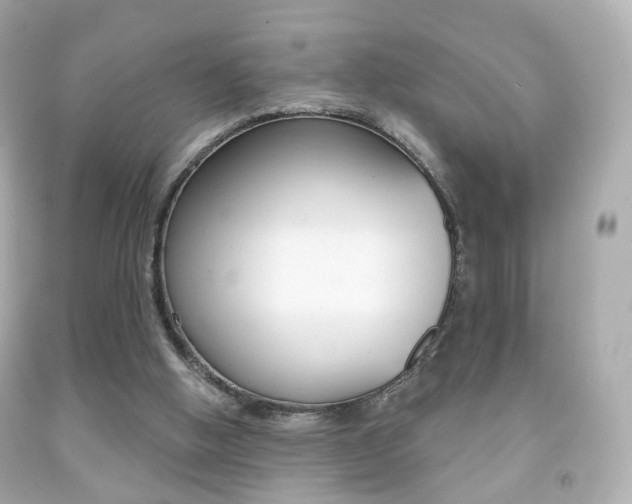 X0000091850058200709050944