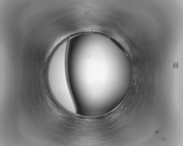 X0000091850060200709050944