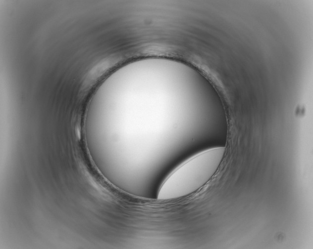 X0000091850062200709050944