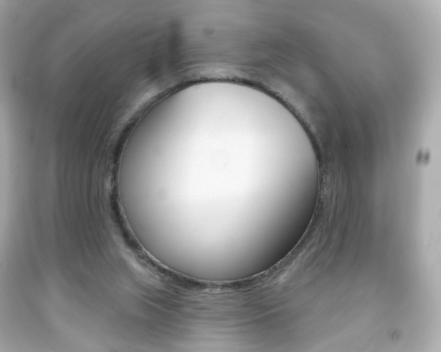 X0000091850063200709050944