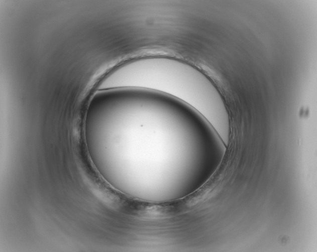 X0000091850064200709050944
