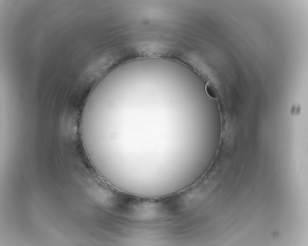 X0000091850065200709050944