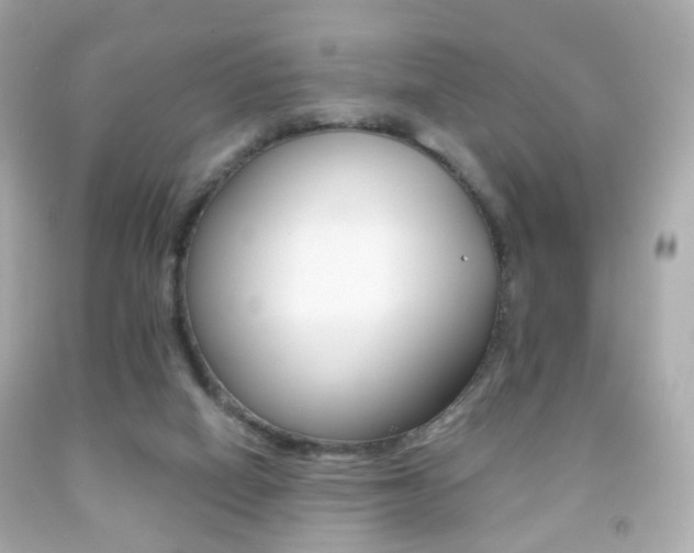 X0000091850066200709050944