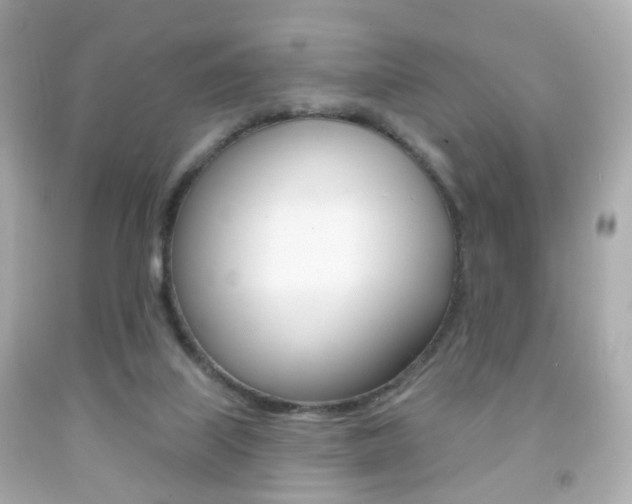 X0000091850067200709050944