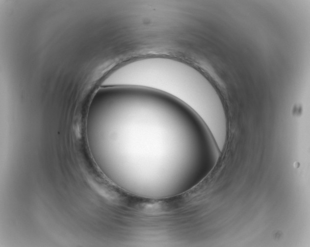 X0000091850068200709050944