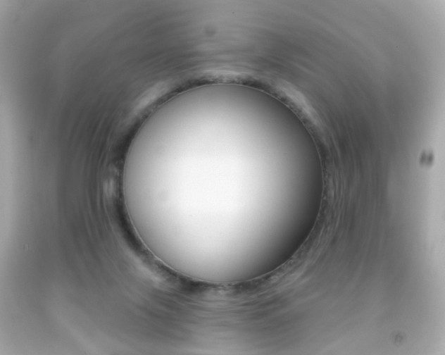 X0000091850071200709050944