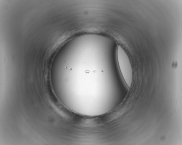 X0000091850072200709050944