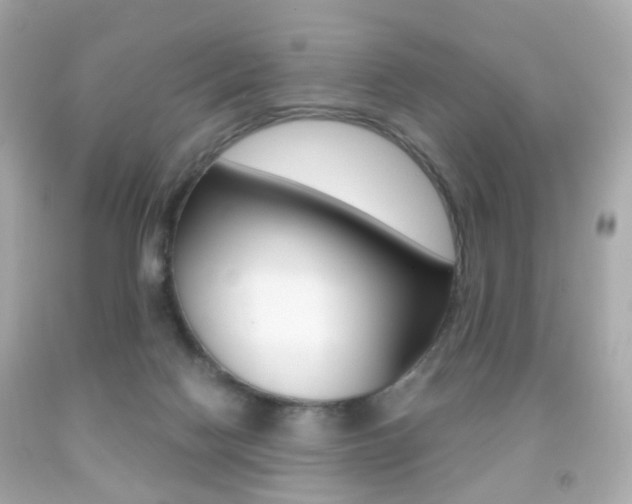 X0000091850074200709050944