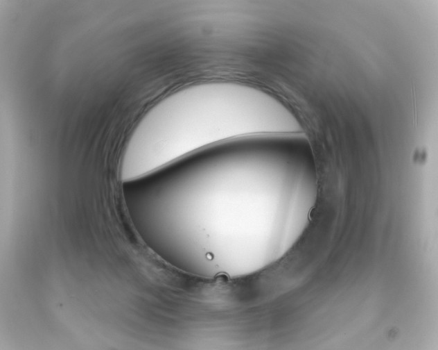 X0000091850075200709050944