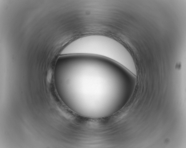 X0000091850076200709050944
