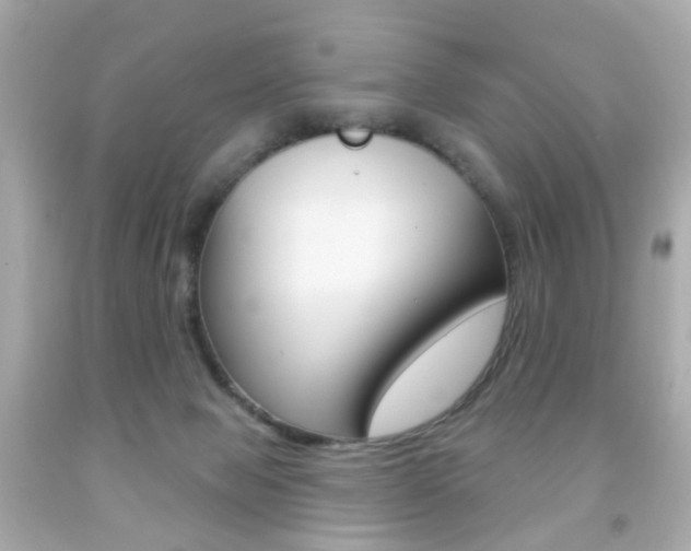 X0000091850077200709050944