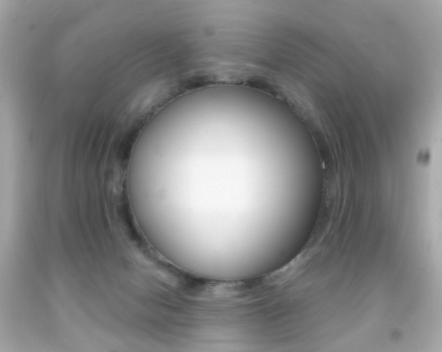 X0000091850078200709050944