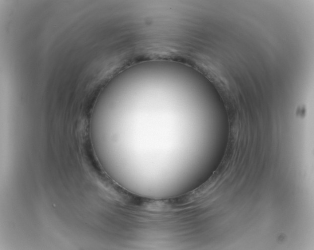 X0000091850079200709050944