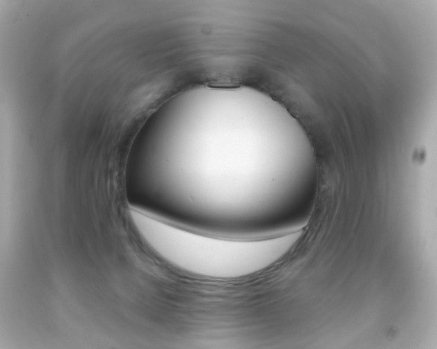 X0000091850080200709050944