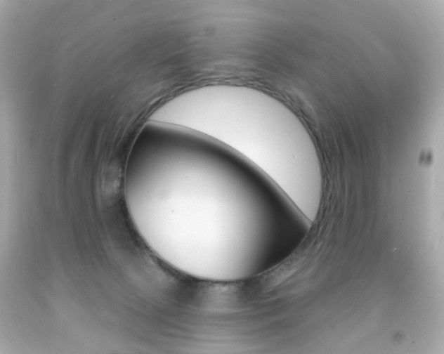 X0000091850081200709050944