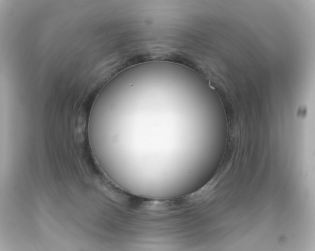 X0000091850082200709050944