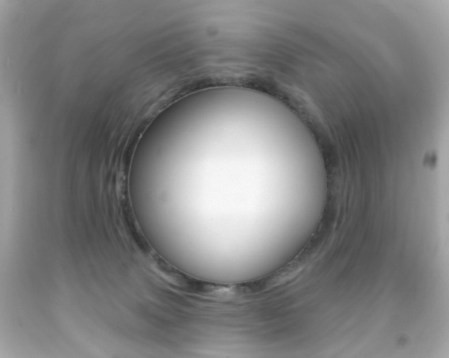 X0000091850083200709050944