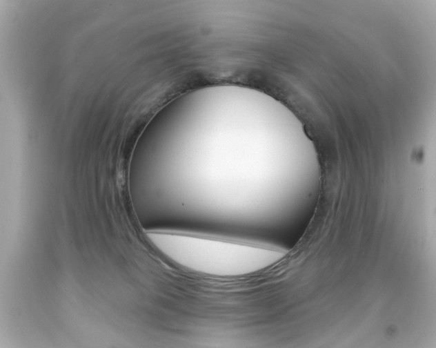 X0000091850085200709050944