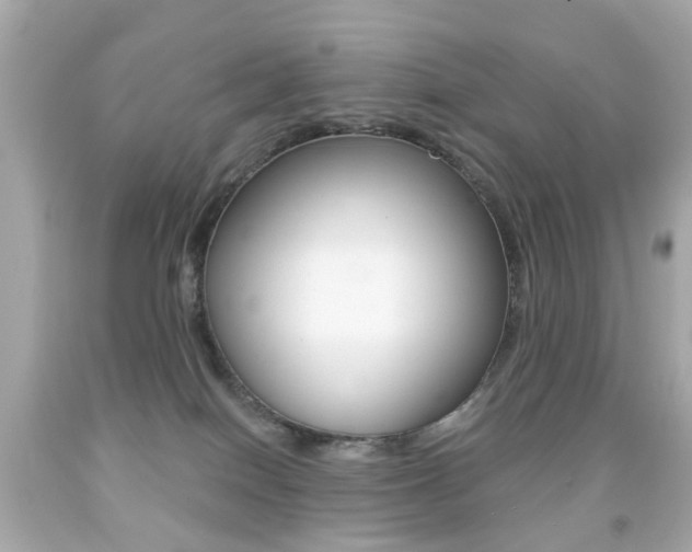 X0000091850086200709050944