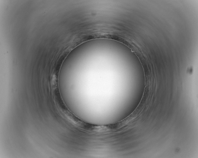 X0000091850087200709050944