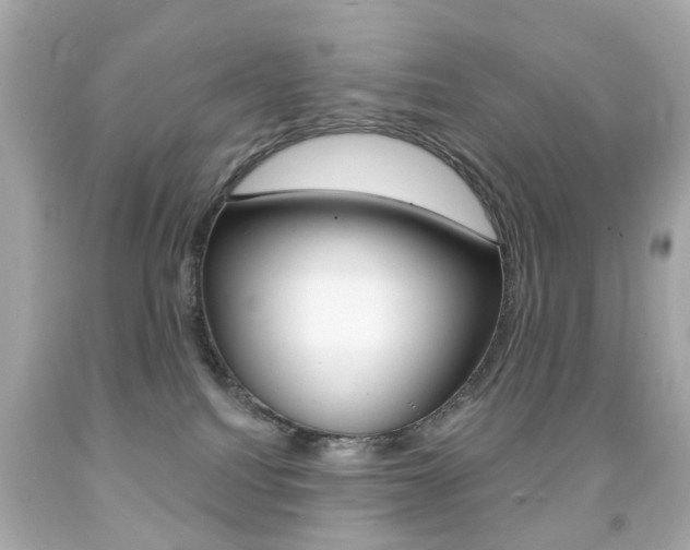 X0000091850088200709050944