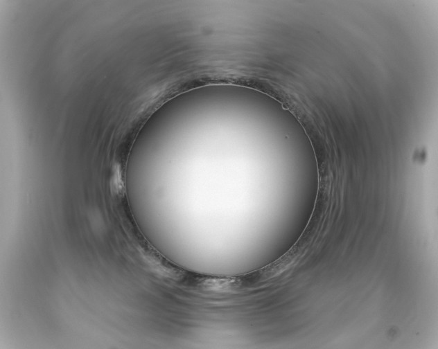 X0000091850089200709050944