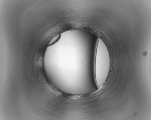 X0000091850090200709050944