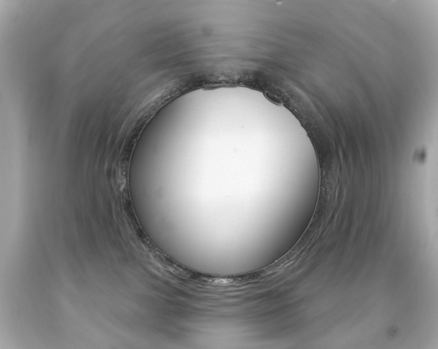 X0000091850091200709050945