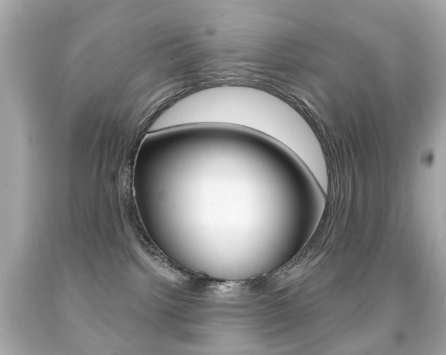 X0000091850092200709050945