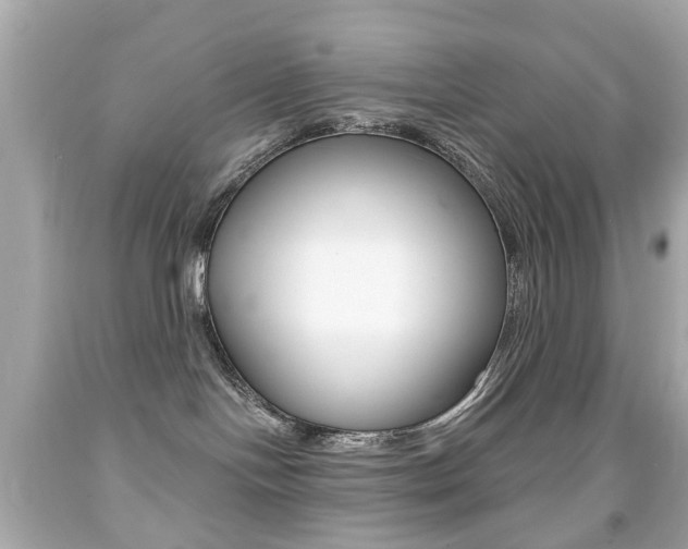 X0000091850094200709050945