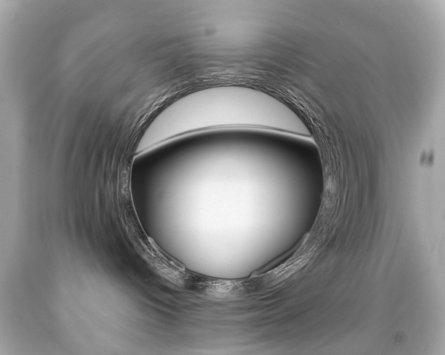X0000091850096200709050945