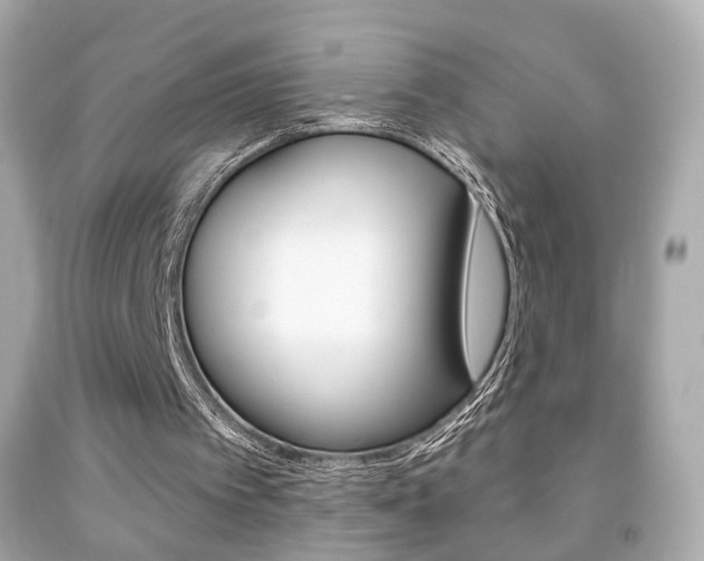 X0000091850097200709050944
