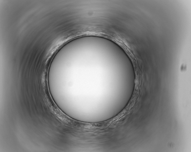 X0000091850098200709050944