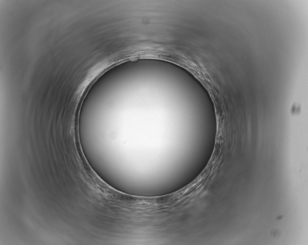 X0000091850099200709050944