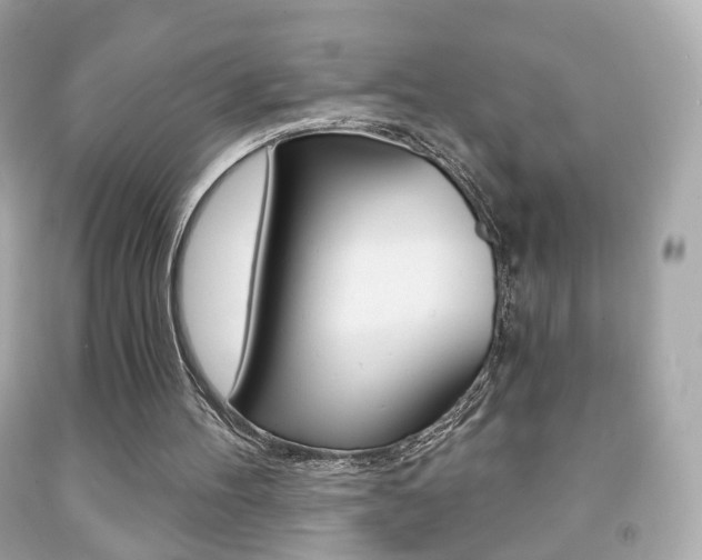X0000091850100200709050944