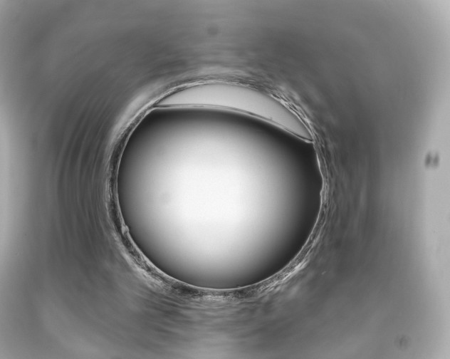 X0000091850101200709050944